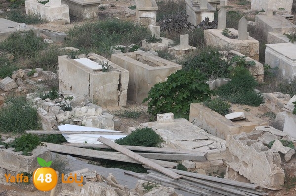 ajyalnewa3malteyeba88 (25).jpg